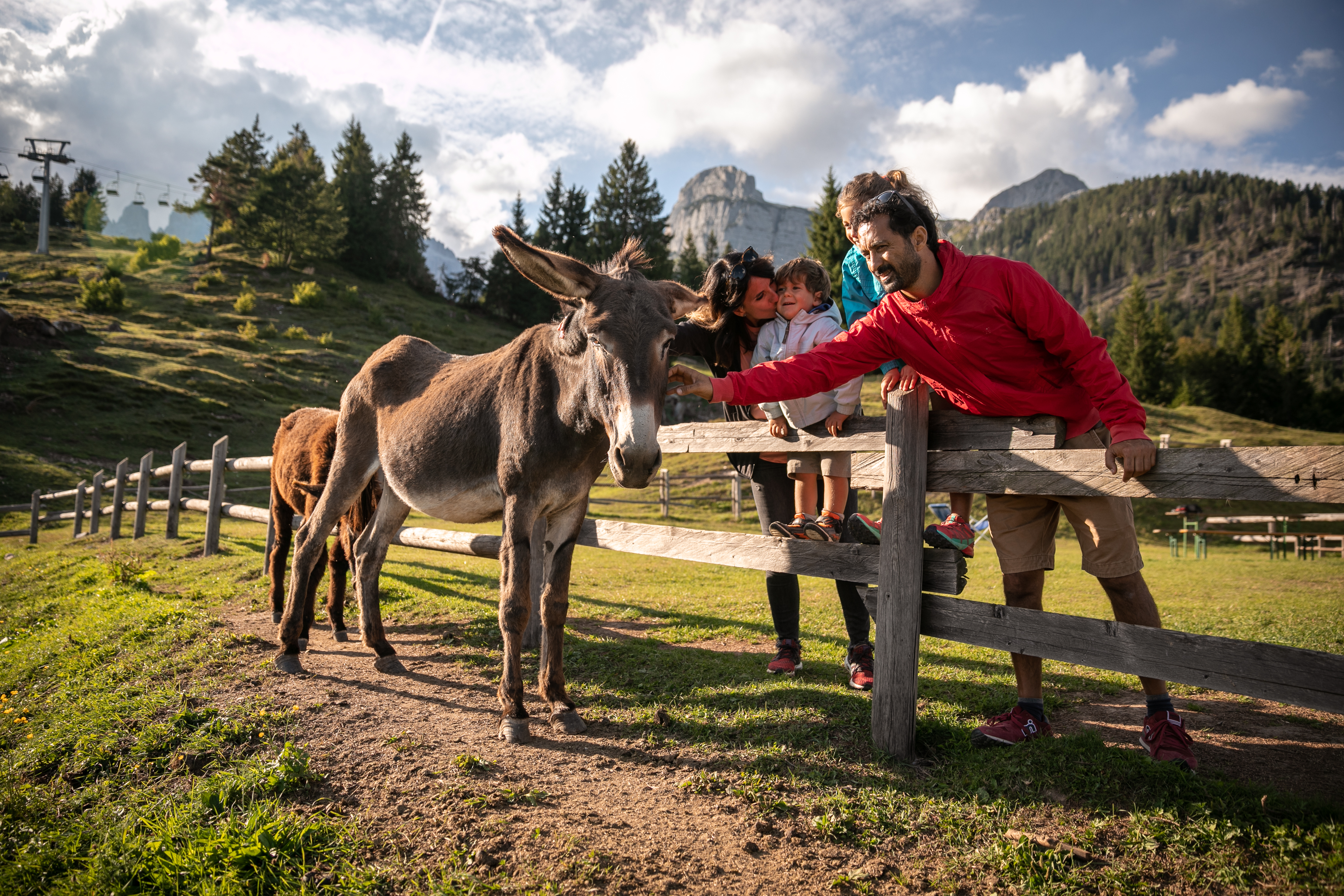 Animali a Malga Tovre_ph. Oliver Astrologo (48).jpg (1).jpg